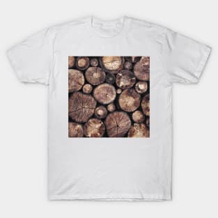 The Wood Holds Many Spirits T-Shirt